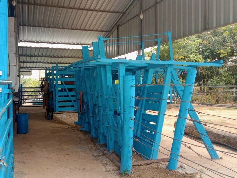#Agro 13 AD - Chácara para Venda em Esmeraldas - MG