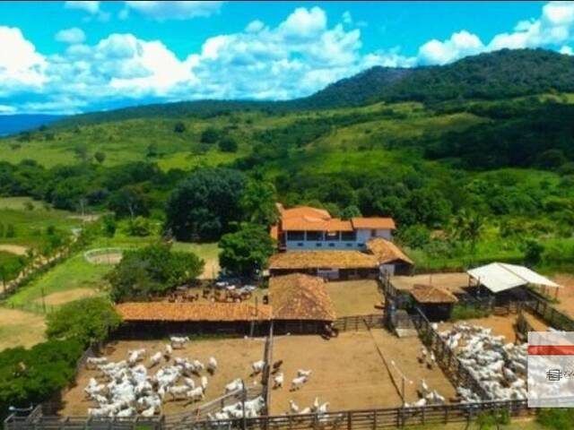 #BU01 - Fazenda para Venda em Buenópolis - MG - 2