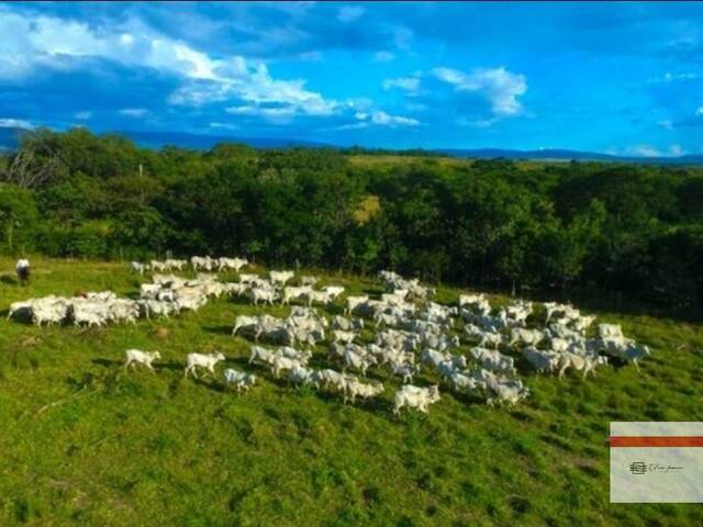 #BU01 - Fazenda para Venda em Buenópolis - MG - 1