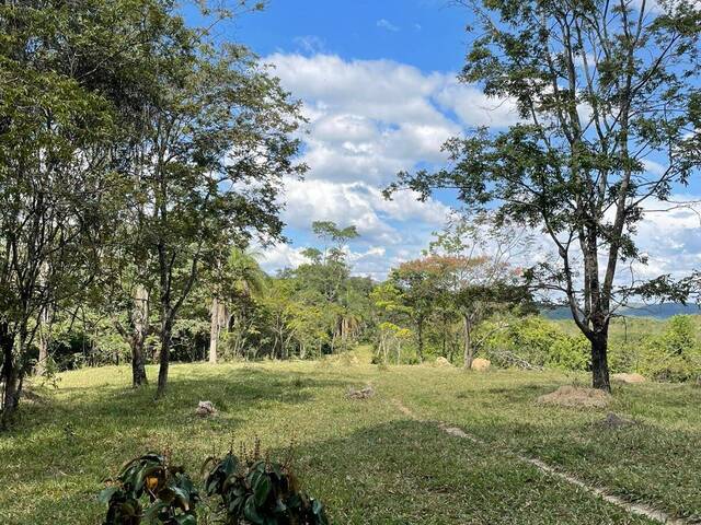 #Agro 13 AD - Chácara para Venda em Esmeraldas - MG - 2