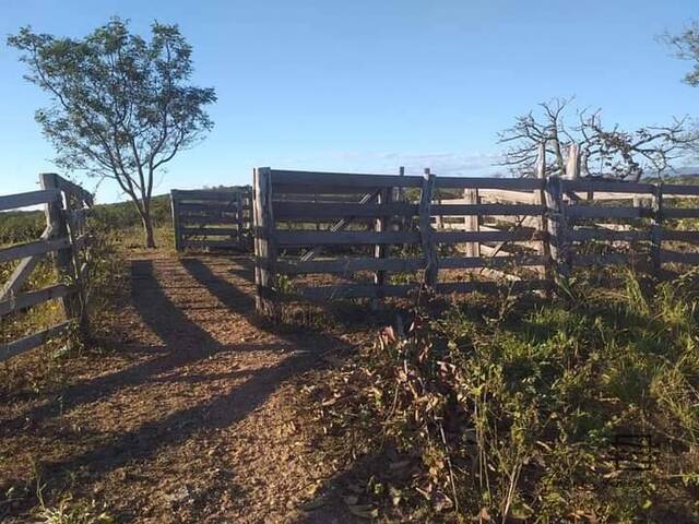 #Agro 14B - Fazenda para Venda em Buenópolis - MG - 2