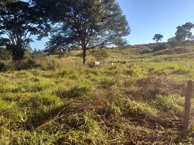 #Agro 14B - Fazenda para Venda em Buenópolis - MG - 3