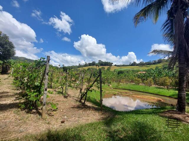#15 - Chácara para Venda em Sabará - MG - 3
