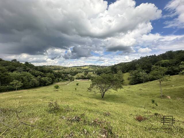 #16 - Chácara para Venda em Igaratinga - MG - 3