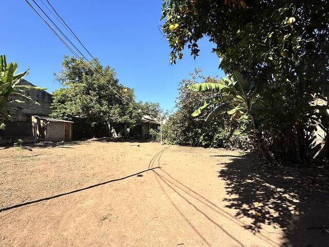 #19 - Sala para Venda em Belo Horizonte - MG - 3